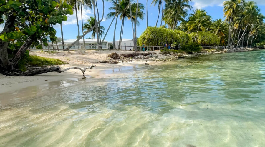plage caravelle